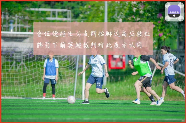 舍伍德指出戈麦斯抬脚过高应被红牌罚下前英超裁判对此表示认同