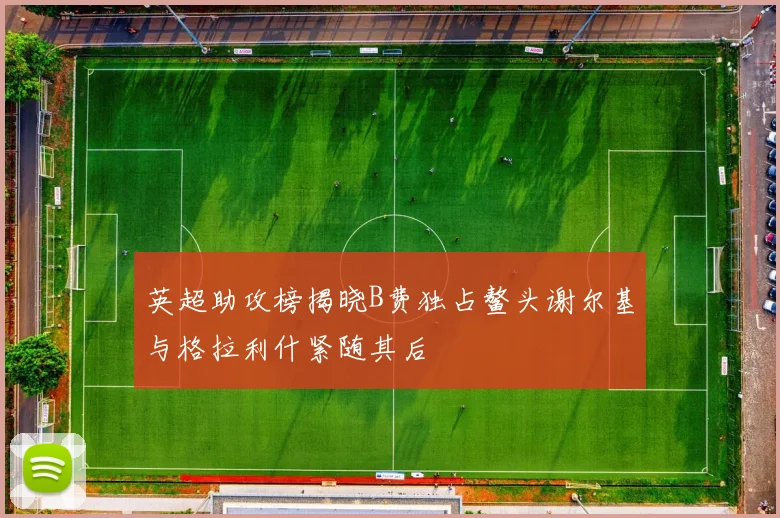 英超助攻榜揭晓B费独占鳌头谢尔基与格拉利什紧随其后